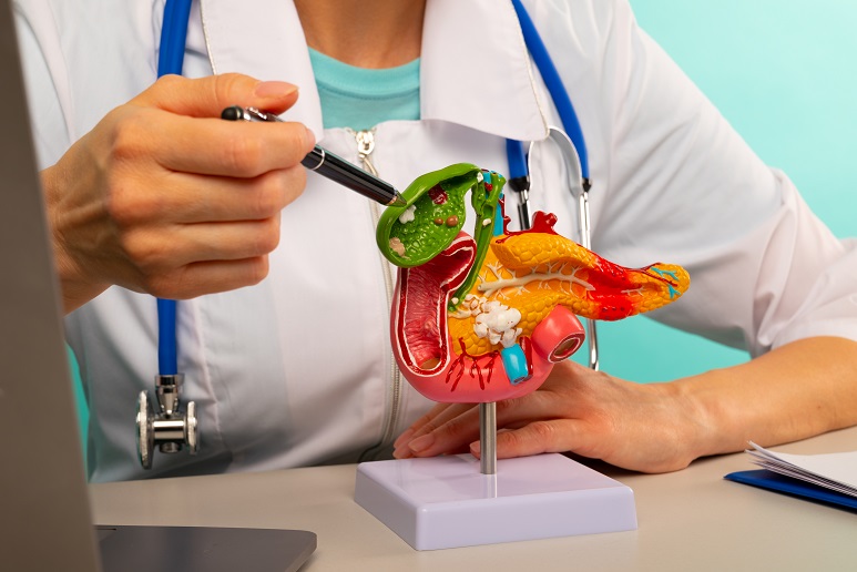 doctor-gynecologist-showing-pen-plastic-model-human-pancreas-closeup.jpg