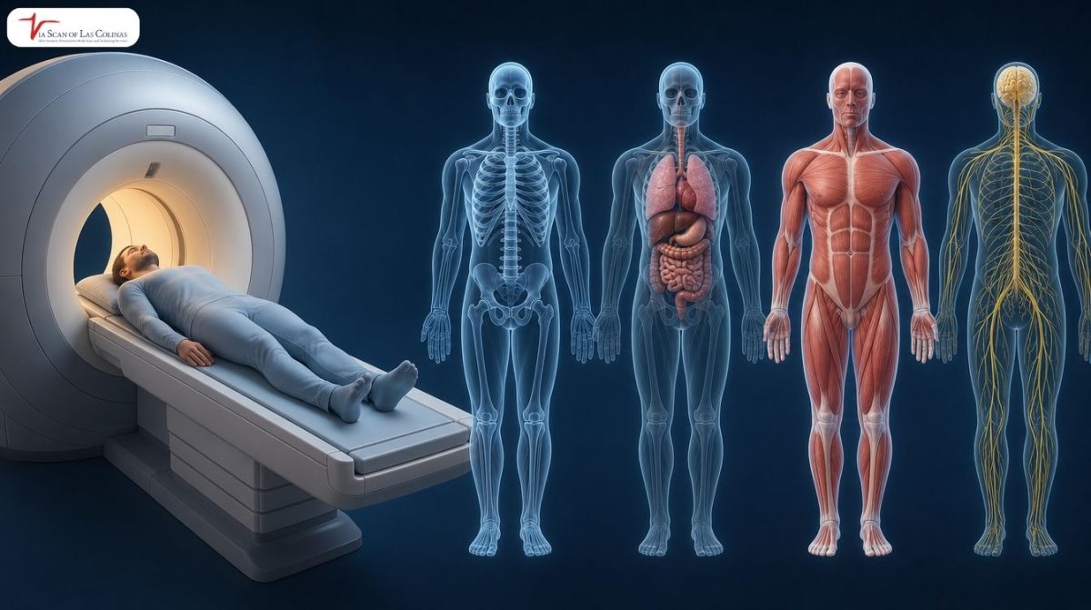 Does-an-MRI-scan-the-whole-body-1-1200x671.jpg